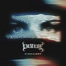 Load image into Gallery viewer, Emmure- Hindsight