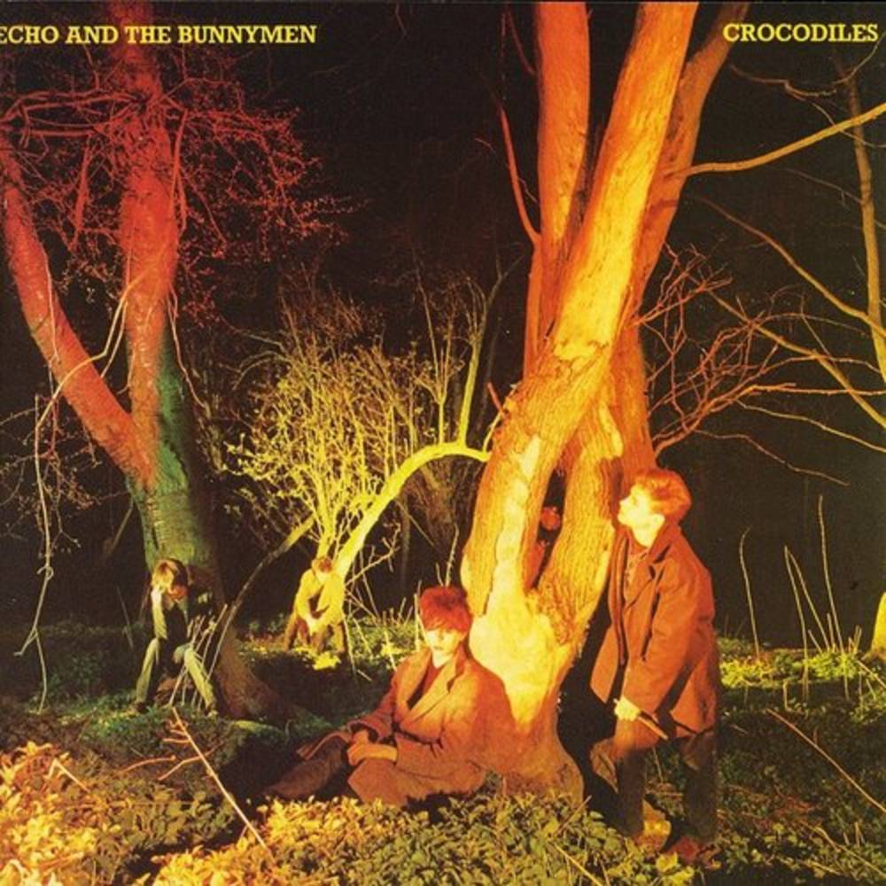 Echo & The Bunnymen- Crocodiles