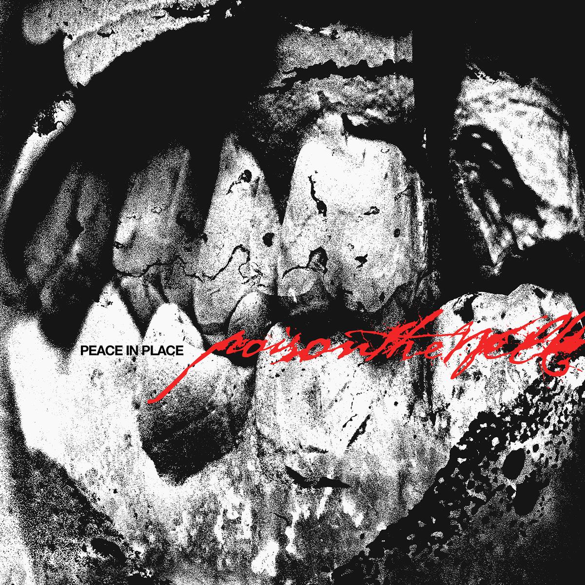 Poison The Well- Peace In Place