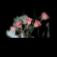 Profligate- Videotape