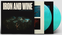 Load image into Gallery viewer, Iron &amp; Wine- Who Can See Forever