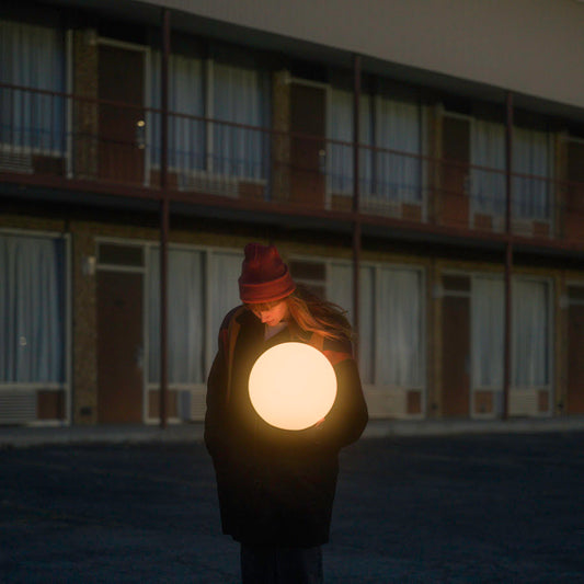 Flock Of Dimes - The Life You Save