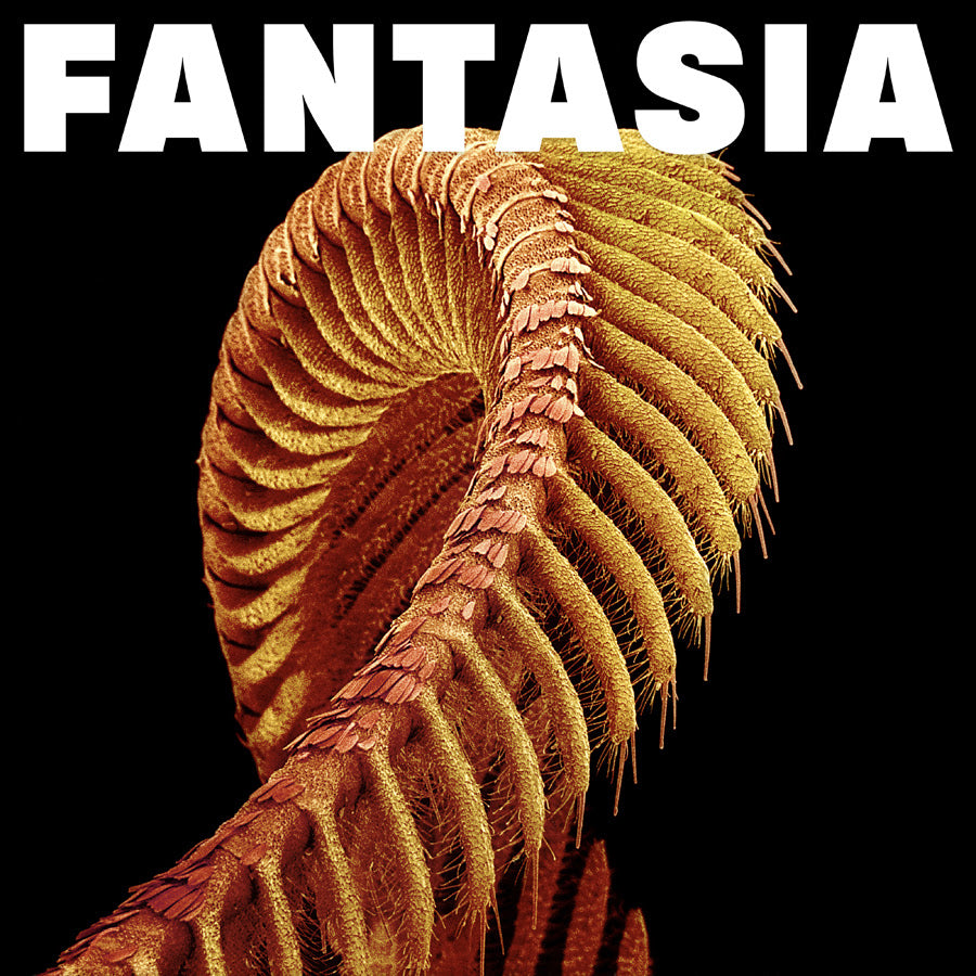 Slift- Fantasia