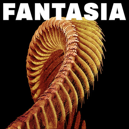 Slift- Fantasia