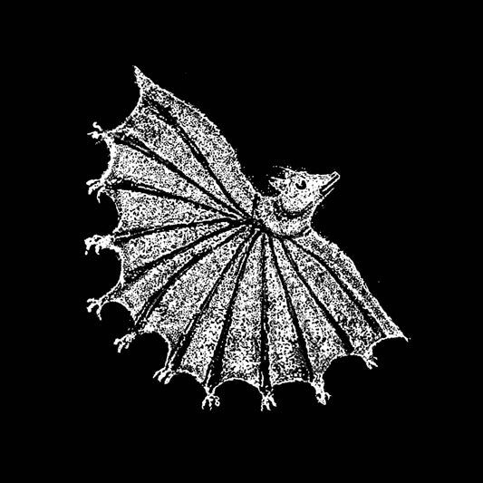 Xiu Xiu- Ignore Grief