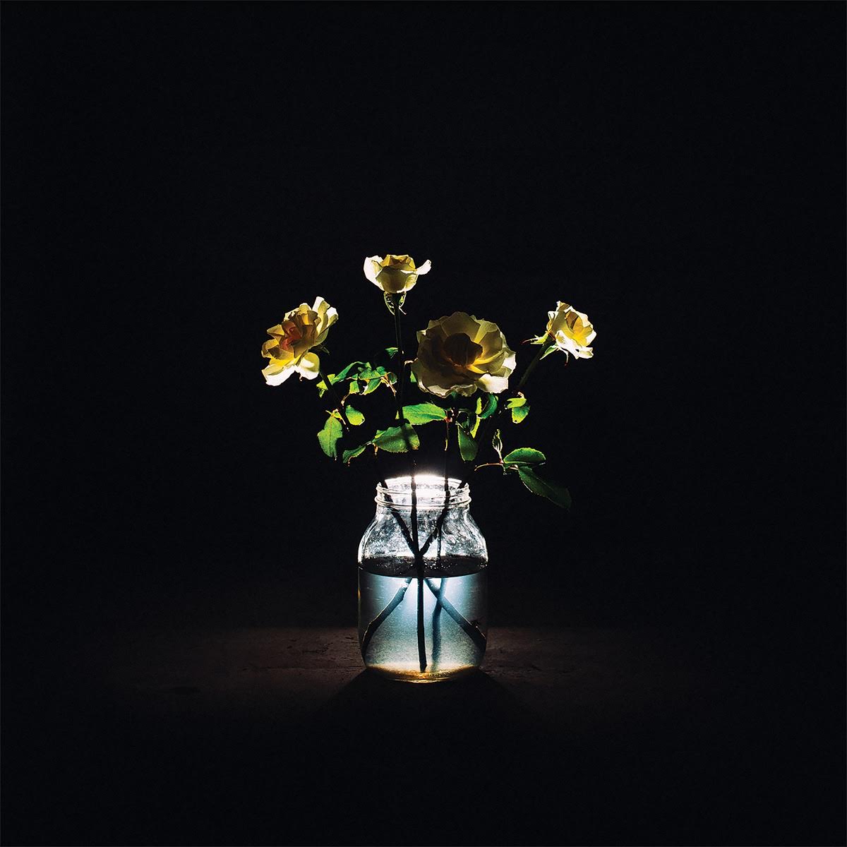 Billy Strings- Renewal