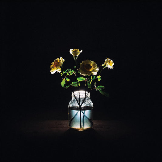 Billy Strings- Renewal