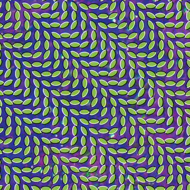 Animal Collective- Merriweather Post Pavilion