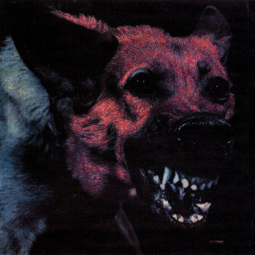 Protomartyr- Under Color of Official RIght