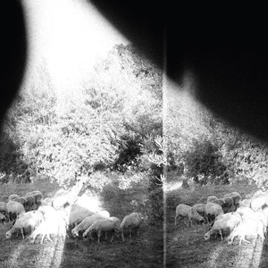 Godspeed You! Black Emperor- Asunder, Sweet And Other Distress