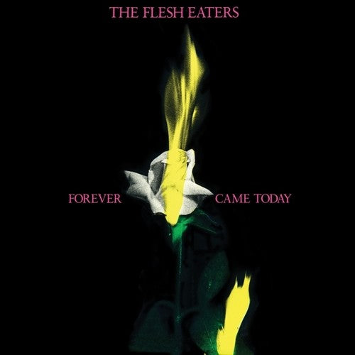 The Flesh Eaters- Forever Came Today