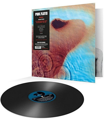 Pink Floyd- Meddle