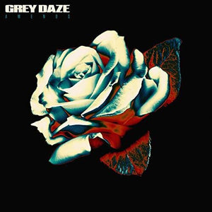 Grey Daze- Amends