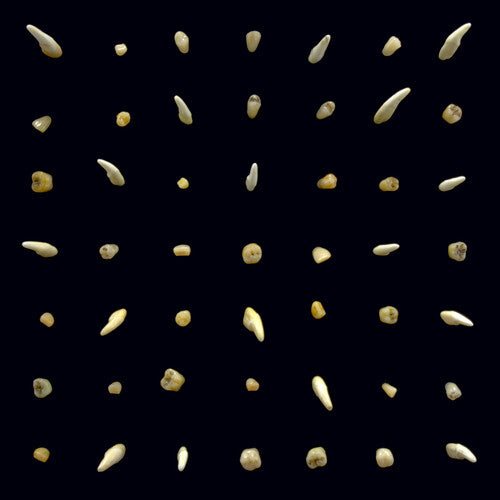 Clipping.- Visions of Bodies Being Burned