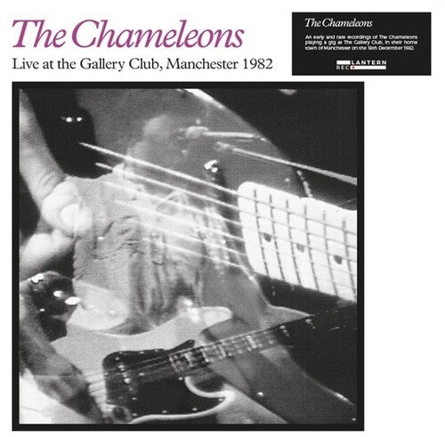 The Chameleons - Live At The Gallery Club, Manchester 1982