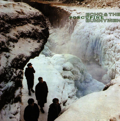 Echo & The Bunnymen- Porcupine