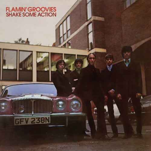 The Flamin' Groovies- Shake Some Action