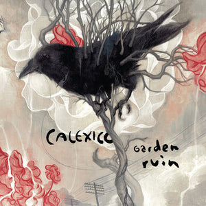 Calexico- Garden Ruin