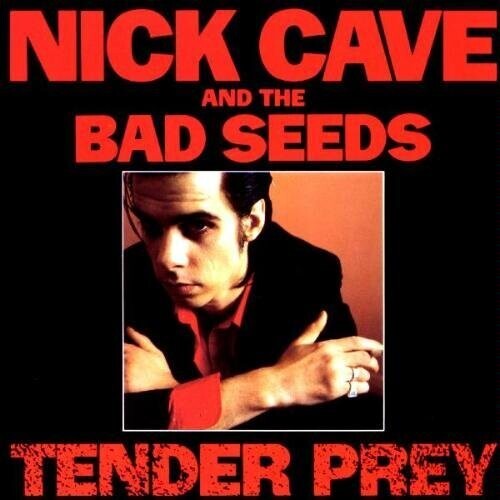 Nick Cave & The Bad Seeds- Tender Prey