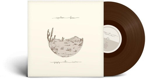 Gregory Alan Isakov- Appaloosa Bones