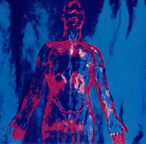 Nirvana- Sliver / Dive