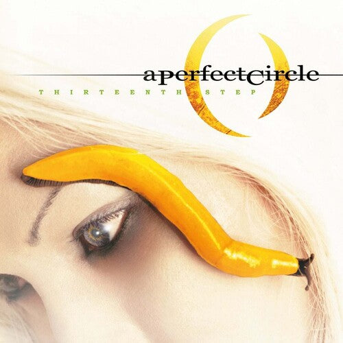 A Perfect Circle- Thirteenth Step