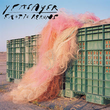 Load image into Gallery viewer, Yeasayer- Erotic Rerun