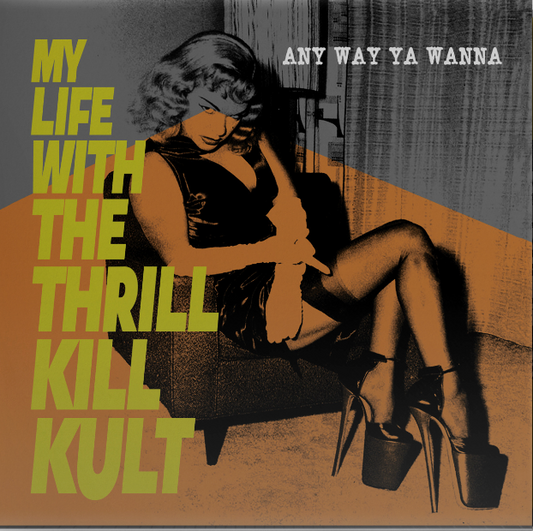 My Life With The Thrill Kill Kult- Any Way Ya Wanna