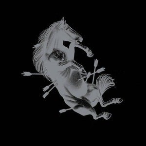 Touché Amoré- Dead Horse X