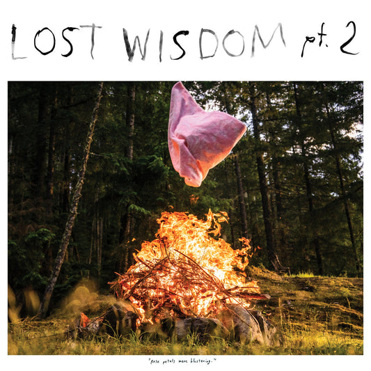 Mount Eerie- Lost Wisdom Pt. 2