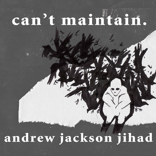 AJJ (Andrew Jackson Jihad)- Can't Maintain.