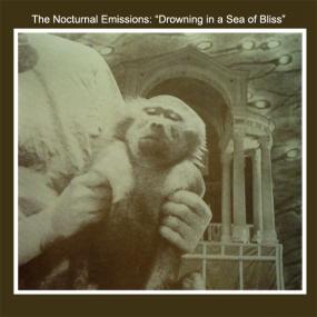Nocturnal Emissions- Drowning In A Sea Of Bliss