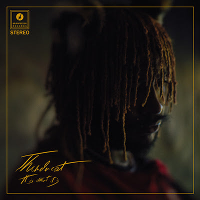Thundercat- It Is What It Is